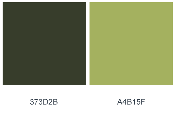 brand colors used for a website design nashville tn