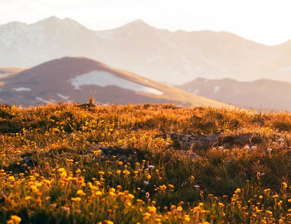 southern events rental company header - JLB, Best Web Design and Web Development Company in Nashville, Brentwood, and Franklin