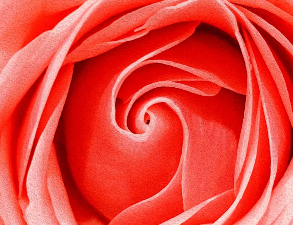 franklin flower graphic header - JLB, Best Web Design and Web Development Company in Nashville, Brentwood, and Franklin