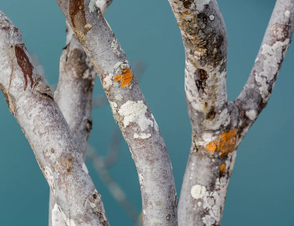 oak factory outlet header - JLB, Best Web Design and Web Development Company in Nashville, Brentwood, and Franklin