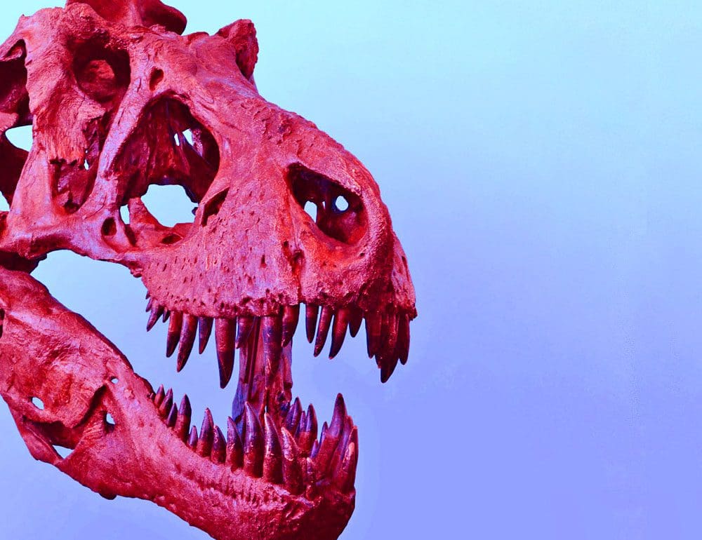 discovery park header image - JLB, Best Web Design and Web Development Company in Nashville, Brentwood, and Franklin