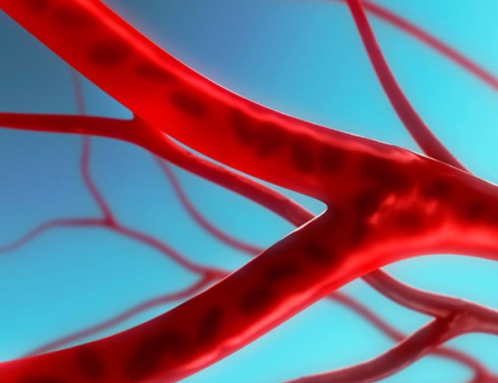 vascular healthcare header image for website - JLB, Best Web Design and Web Development Company in Nashville, Brentwood, and Franklin