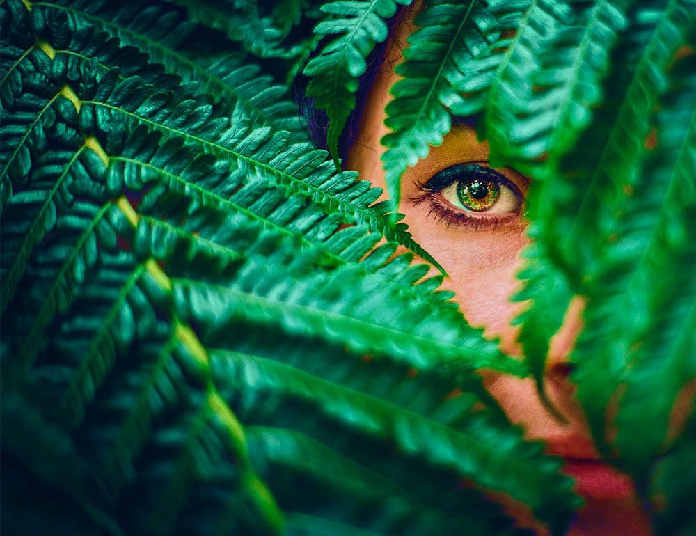 Nashville Web Design by JLB - Cahaba Images