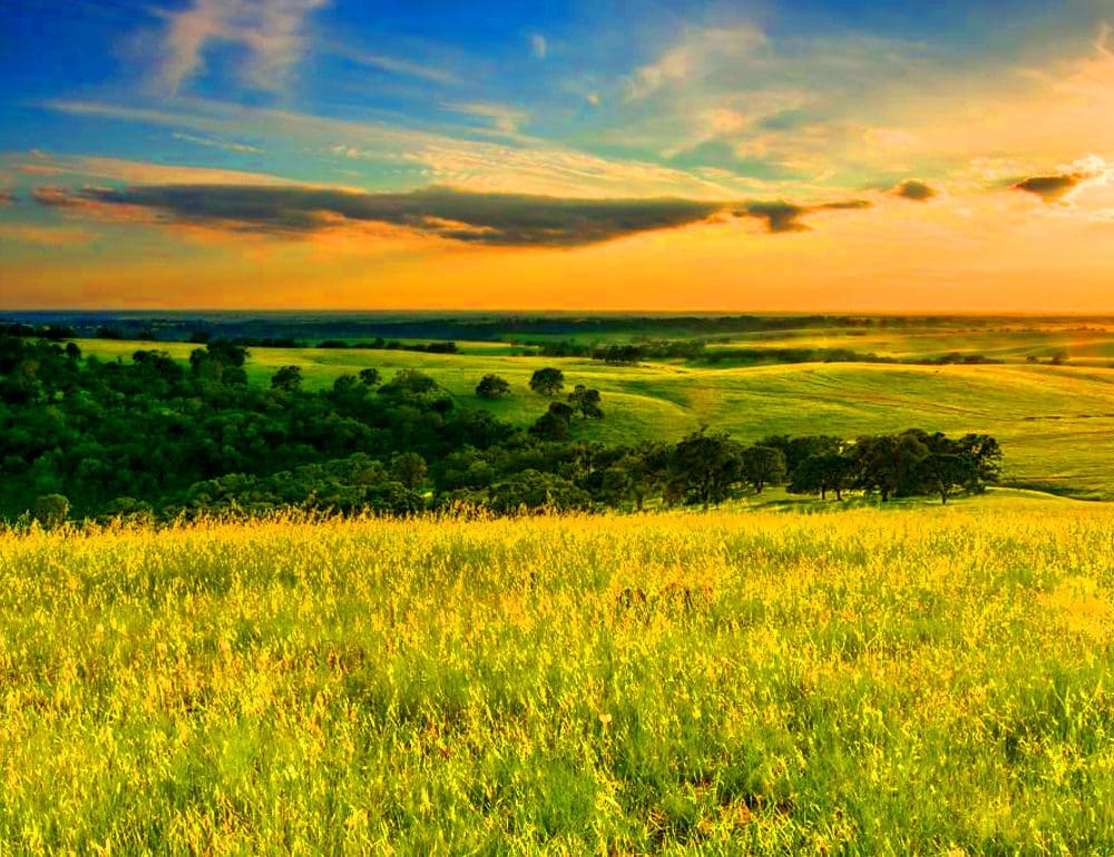 Grasslands Tile - Website Design Inspiration from a Nashville Web Design Company