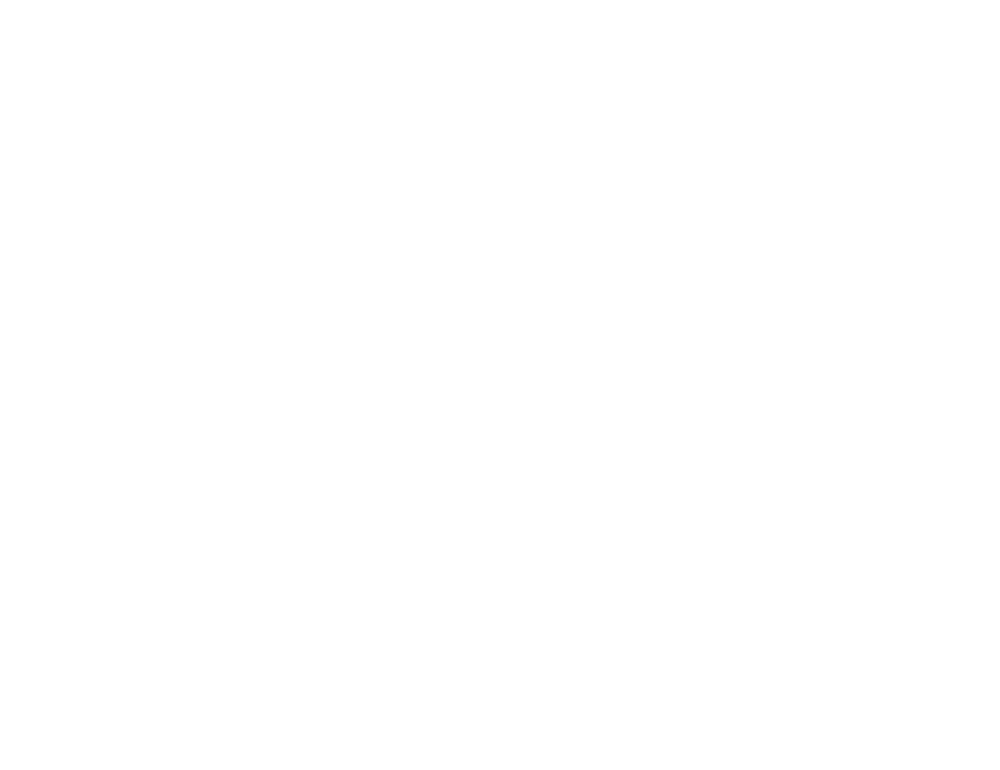TNV GUNS LOGO