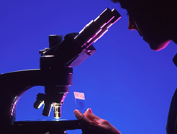 TRIBAL HEALTH - Nashville Digital Marketing