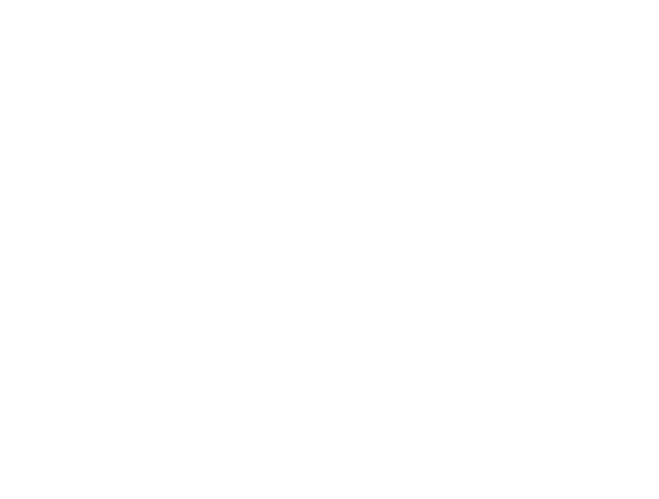 SERV FLOW LOGO